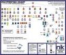NIK Identidrug 24" x 37" Wall Chart
