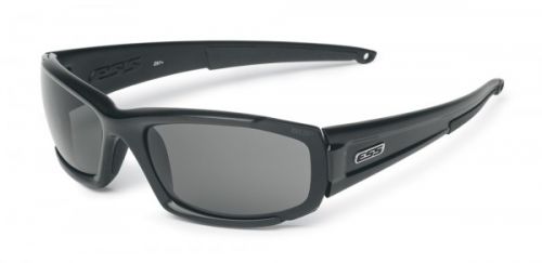 ESS CDI High Adrenaline Sunglasses (Interchangeable Lenses) - Click Image to Close